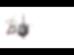 Hoge Precisie 20mm Stepper van NEMA 8 Motor met Loodschroef/Handnoot