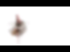 10mm Micro- Stepper Motor 5VDC 10BY25 PM Mini Stepping Motor